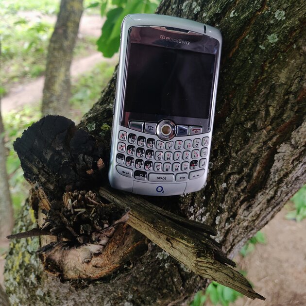 Blackberry Curve — доступная модель мобильного гиганта