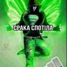Sraka_spotila