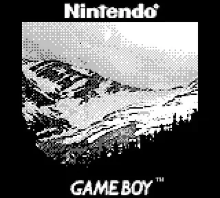 Фотограф установил телеобъектив на GameBoy для создания потрясных работ
