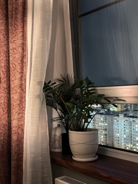 Присмотритесь к задней панели — такой камеры больше ни у кого нет! Обзор HUAWEI Pura 80 Ultra — Качество снимков. 21