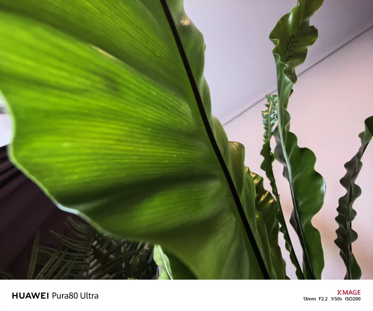 Универсальный телевик и классные портреты: оцениваю фотовозможности HUAWEI Pura 80 Ultra