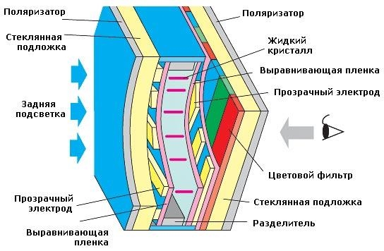 Подробности о типах известных дисплеев