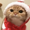 id842187394