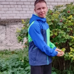 id181784586