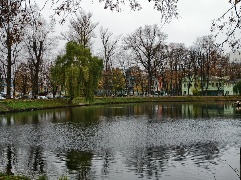 Компактный смартфон с очень удобной диагональю дисплея: обзор vivo X200 FE — Качество снимков. 19