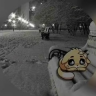 dedmoroz2026