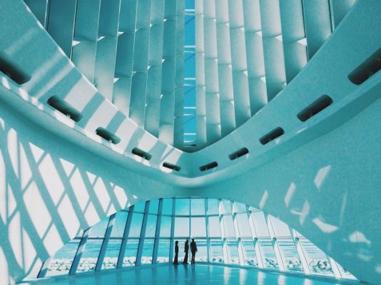 Определены лучшие фотографии, сделанные на iPhone в 2014 году