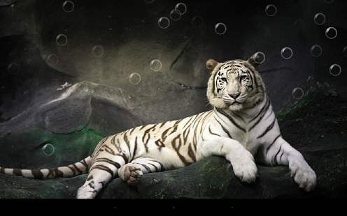 Бесплатные новинки Google Play от 27.06.2014