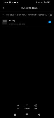 В интернете массово качают «Живой календарь жизни»: что это и как установить на смартфон — Как поставить «Живой календарь» на Android. 10