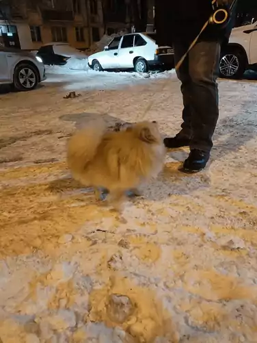 Недорогой смартфон с долгоиграющей батареей: обзор Infinix NOTE Edge