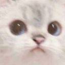 ogtruepac