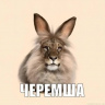 arakul_1_1