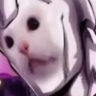 id833628883