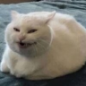 Besmilla