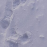 BMDmitrievich