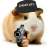 czczxz
