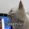 hamzatbulkin