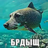 muhammedaigubov