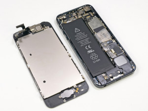 iPhone 6 — урок прикладной анатомии