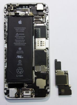 iPhone 6 Plus - урок прикладной анатомии