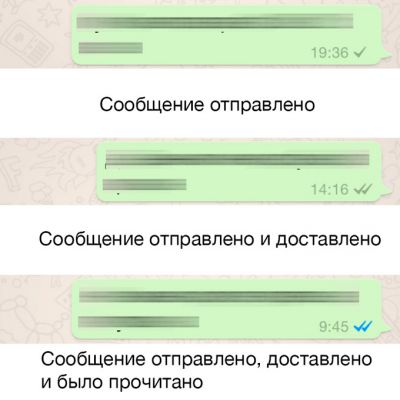 В WhatsApp появилась индикация состояния сообщений