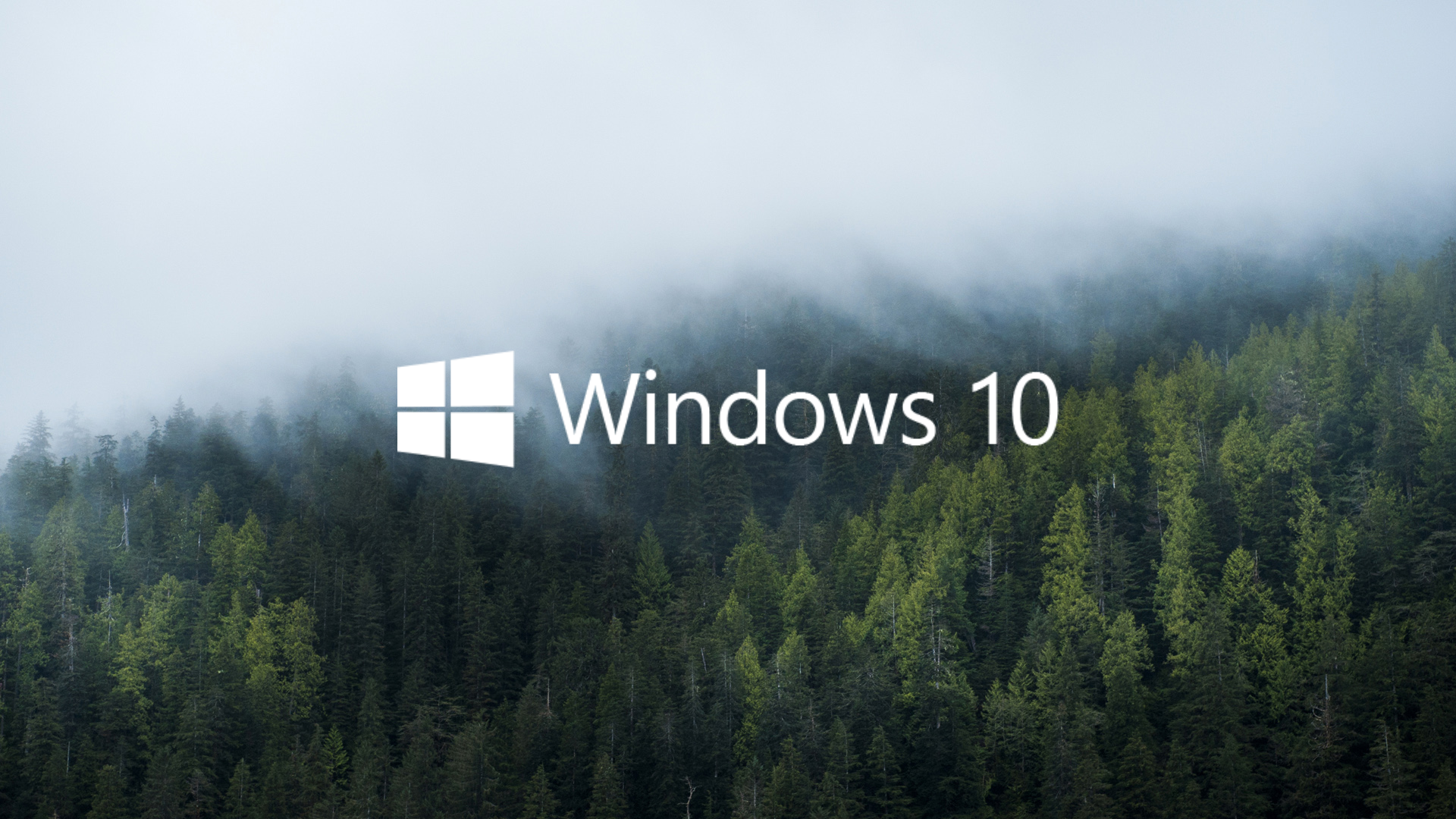 Обои Windows. Виндокюус 10. Фон Windows 10. Картинки Windows 10. Windows 10 camp