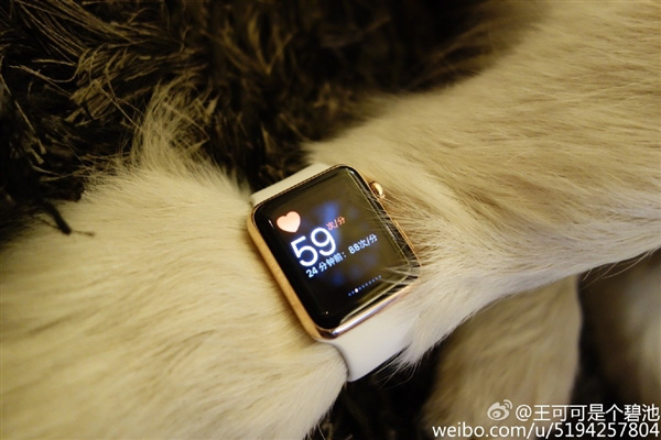 Сын китайского миллиардера купил своей собаке Apple Watch