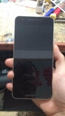 "Живые" фотографии Nexus от Huawei утекли в сеть