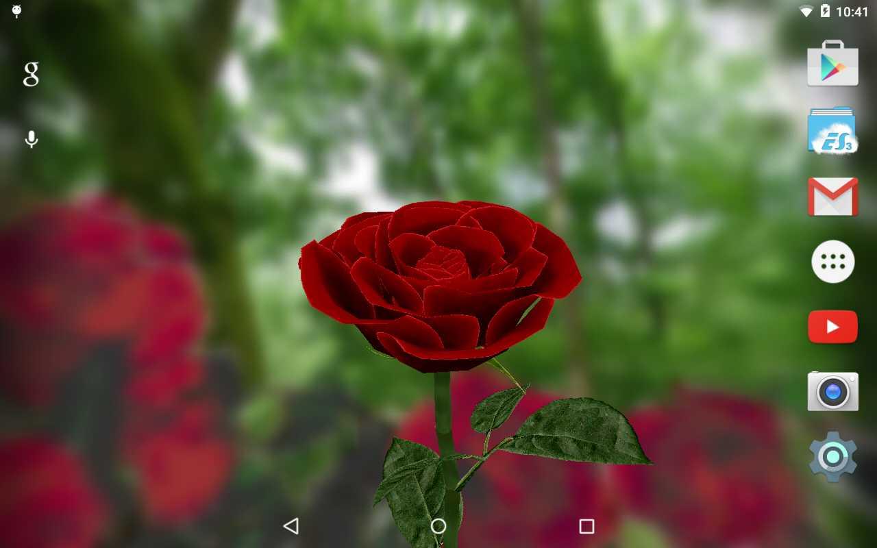 Живые обои Роза 3D, бесплатная версия 5.7