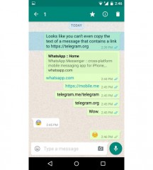 WhatsApp блокирует ссылки на Telegram