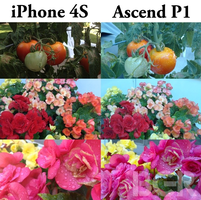 Обзор Huawei Ascend P1