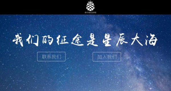 В Xiaomi Mi 5C будет установлен процессор Pinecone собственной разработки
