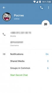 В Telegram для Android и iOS появились аудиозвонки