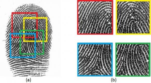 Сканер отпечатков пальцев — не лучший способ защиты смартфона