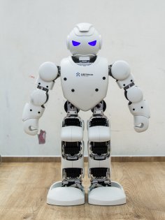 UBTech представил обучающих роботов Alpha и Jimu в России