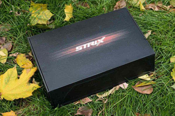 Обзор видеокарты ASUS ROG STRIX GTX 1080Ti 11 Гбайт — ASUS ROG STRIX GTX 1080Ti 11 ГБ. 3