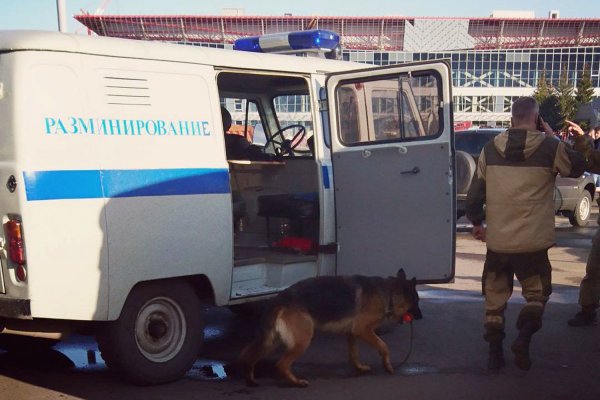 В России прикрыт нелегальный оператор связи, причастный к звонкам о минировании