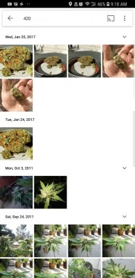 Интеллект от Google определяет марихуану на фотографиях пользователей