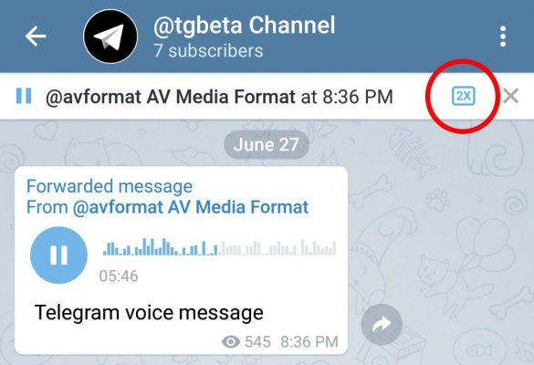 В Telegram для Android появился «паспорт»