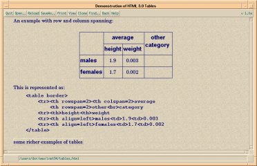 Как создавался JavaScript и особенности архитектуры — Как развивался браузер Netscape. 6