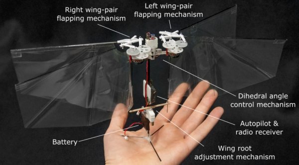 Новый робот DelFly Nimble умеет летать как насекомое