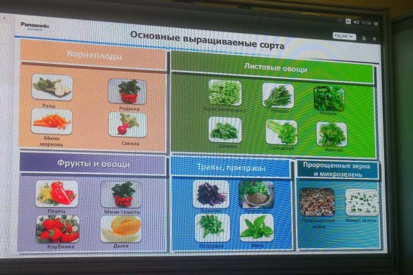 Panasonic и МГУ планируют обеспечить горожан свежими овощами