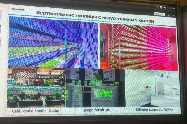 Panasonic и МГУ планируют обеспечить горожан свежими овощами
