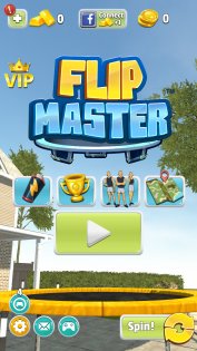 Flip Master 2.9.50. Скриншот 2