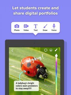 ClassDojo 7.49.0. Скриншот 8