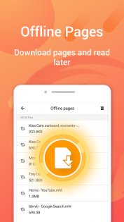 Phoenix Browser 16.3.1.5185. Скриншот 2