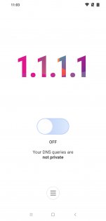 1.1.1.1 – Faster & Safer Internet 6.38.3. Скриншот 2