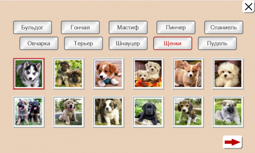 Угадай Породу Собак: Пазлы 2.3.0. Скриншот 2