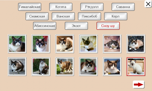 Угадай Породу Кошки: Пазлы 2.2.8. Скриншот 2