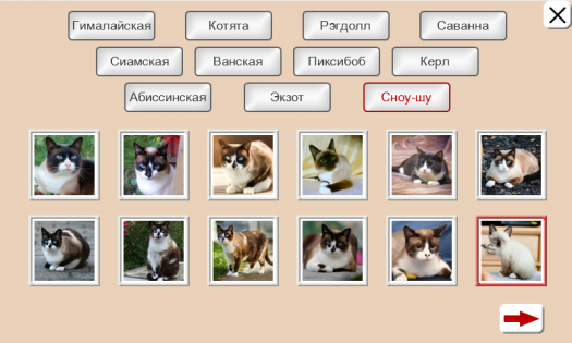 Угадай Породу Кошки: Пазлы 2.2.8. Скриншот 3